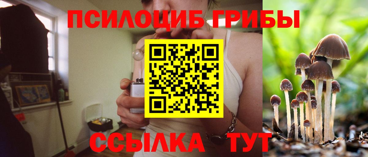 Галлюциногенные грибы мицелий  Вход с VPN  Псилоцибиновые грибы Magic Shrooms  Курчатов 