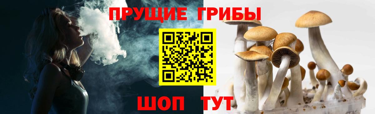 Галлюциногенные грибы ЛСД Курчатов